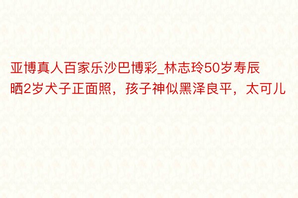 亚博真人百家乐沙巴博彩_林志玲50岁寿辰晒2岁犬子正面照，孩子神似黑泽良平，太可儿